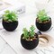 Set of 6 Black Artificial Succulent Plants in Pots – Mini Fake Potted Plants for Halloween Decor, Bathroom, Bedroom, Living Room, Office & Shelf Decorations